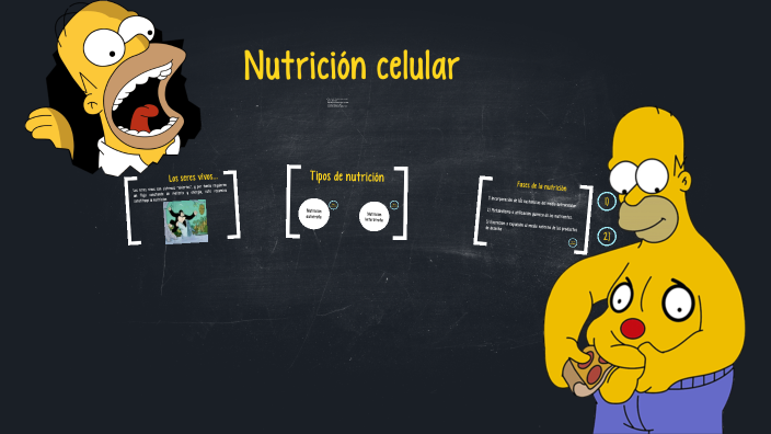 Nutrición Celular By Manuel López Roa On Prezi