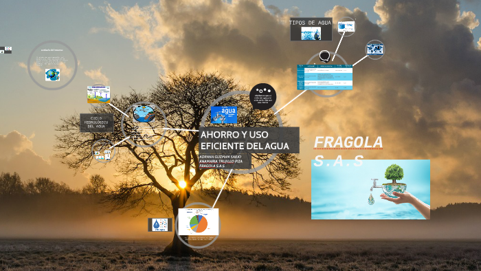 AHORRO Y USO EFICIENTE DEL AGUA by ana maria trujillo piza on Prezi