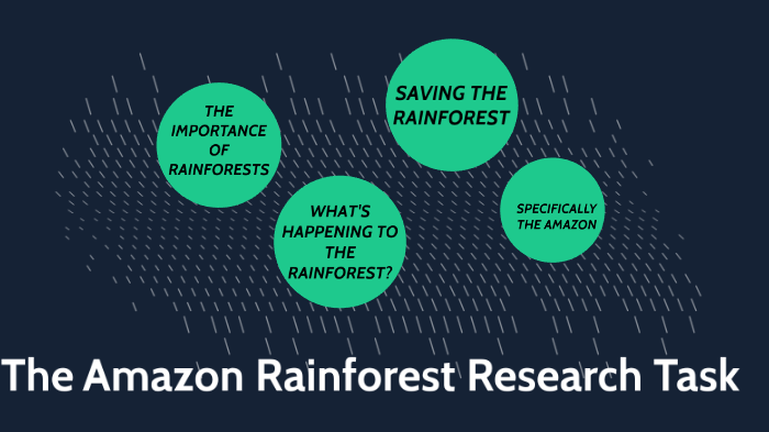 The Amazon Rainforest Research Task By Chiara Gallo