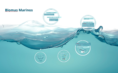 Biomas Marinos by Alexia Flores Villar on Prezi