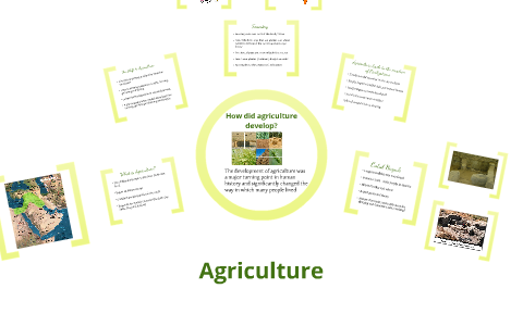 How did agriculture develop by Nicole Hancock