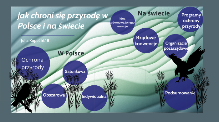 Jak chroni się przyrodę w Polsce i na świecie by Julia Kopeć on Prezi