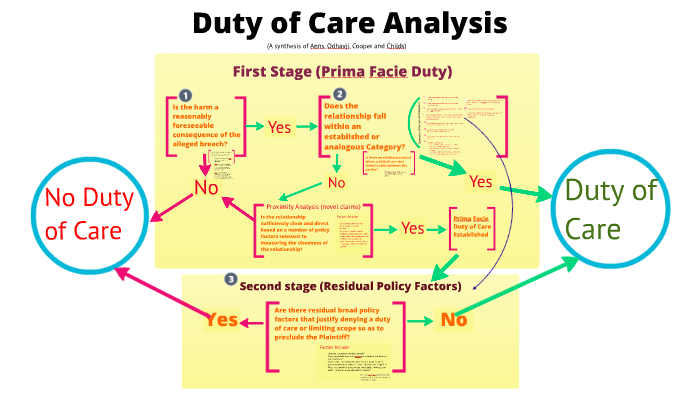 Principles Of Duty Of Care