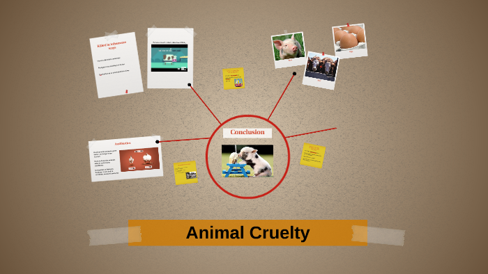 animal cruelty informative speech