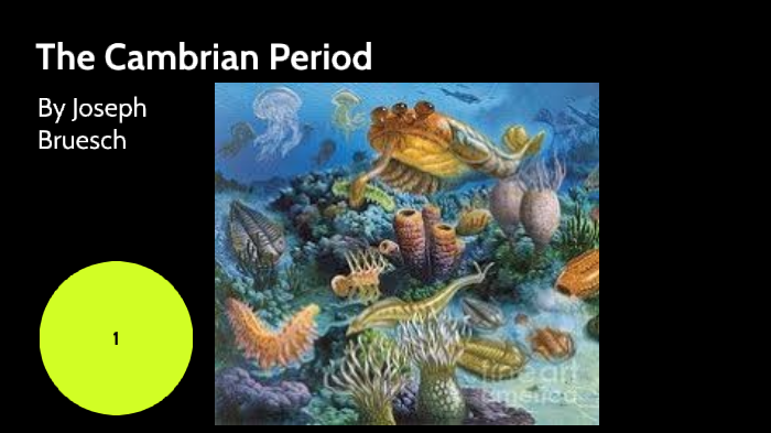 The Cambrian Period By Joseph Bruesch On Prezi