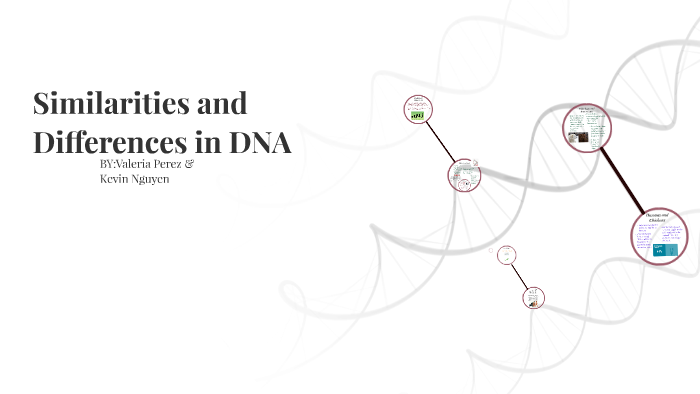 Similarities and Differences in DNA by Valeria Perez on Prezi