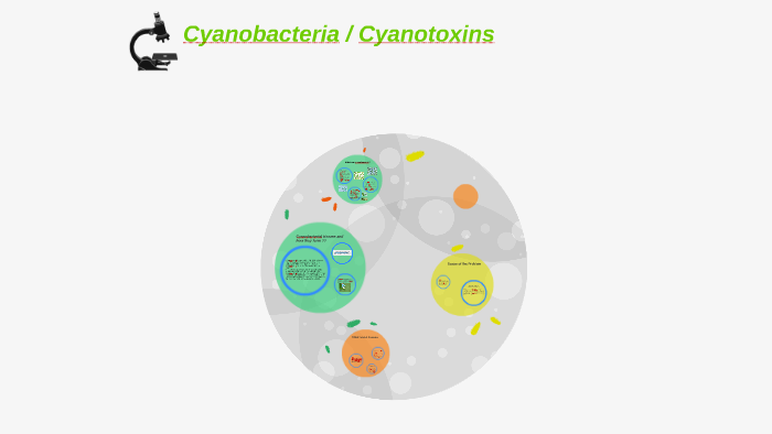 Cyanobacteria/ by Mohammed El-Adli on Prezi