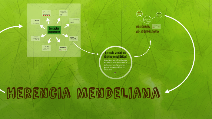 Herencia Mendeliana Y No Mendeliana By Jonathan García