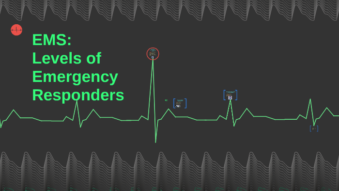 3 levels of management in ems