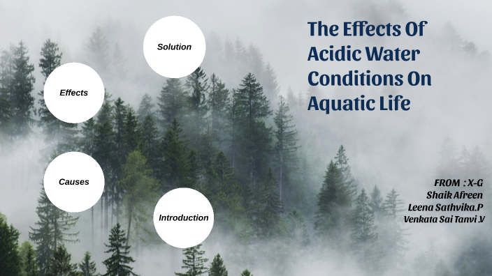 Acid Rain And It's Effects On Aquatic Life by Shaik Afreen on Prezi