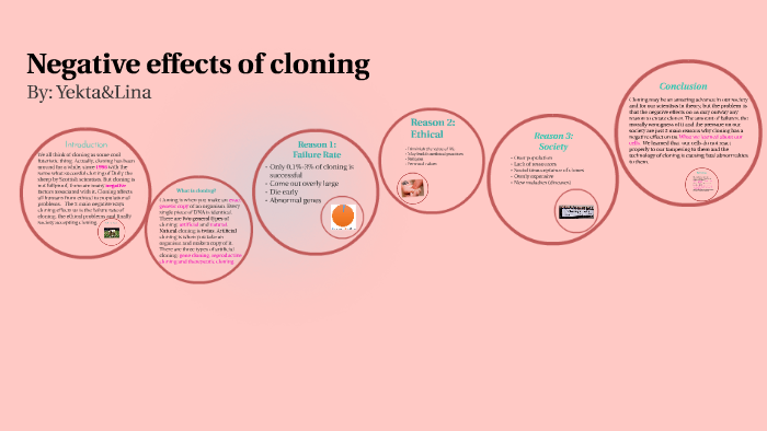 why cloning is bad essay