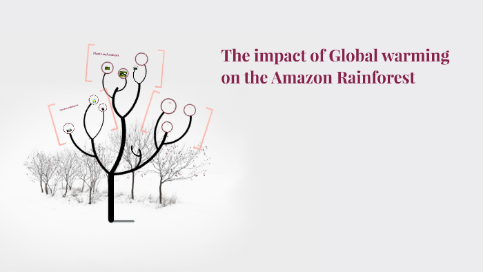 The impact of Global warming on the Amazon Rainforest by Alvaro Juste ...