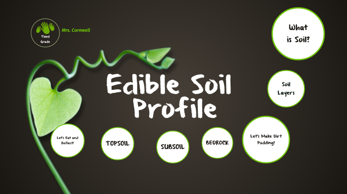 Edible Soil Profile By Gislene Cornwell On Prezi