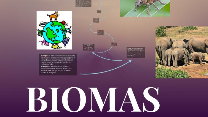 BIOMAS by Beatriz Alejandra Sánchez on Prezi