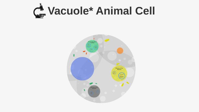 Vacuole* Animal Cell by Tyler Jarboe