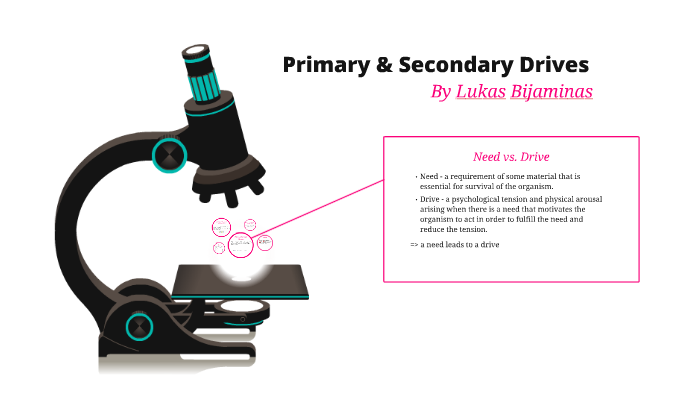 Primary Secondary Drives By Lukas B