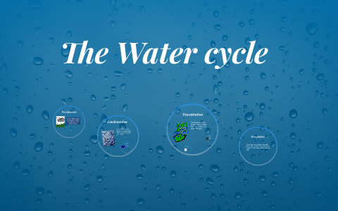 The Water cycle by Riley assinewai on Prezi