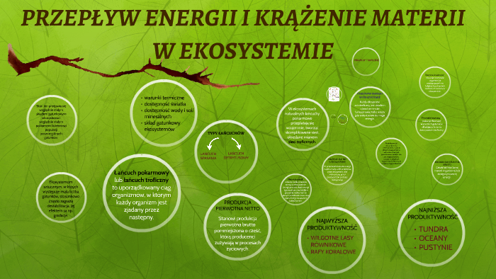 Krążenie Materii W Ekosystemie PRZEPŁYW ENERGII I KRĄŻENIE MATERII W EKOSYSTEMIE by Natalia Smolińska