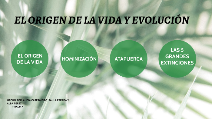 El origen de la vida y evolución by Veneno Ortiz Rodríguez on Prezi