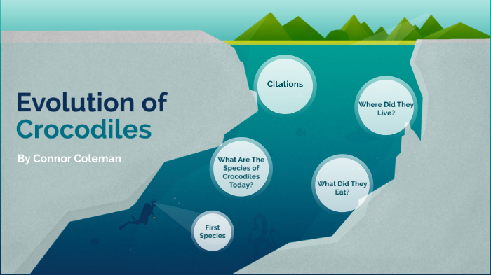 Evolution of Crocodiles by Connor Coleman on Prezi