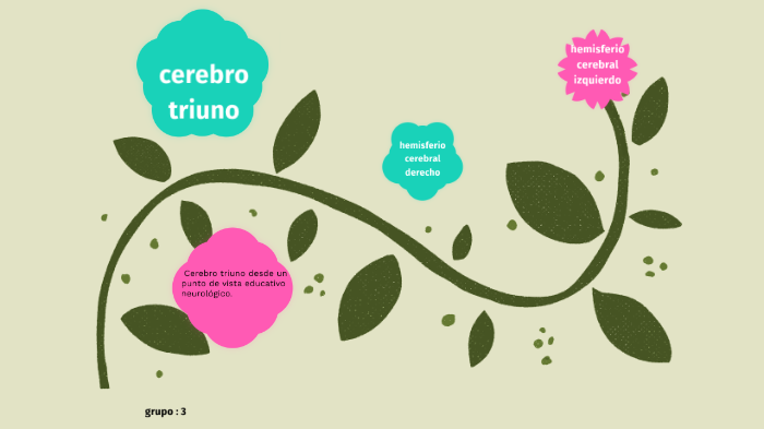 Modelo Del Cerebro Triuno Y Modelos Bilaterales Del Cerebro By Ariana Dominguez On Prezi 5651