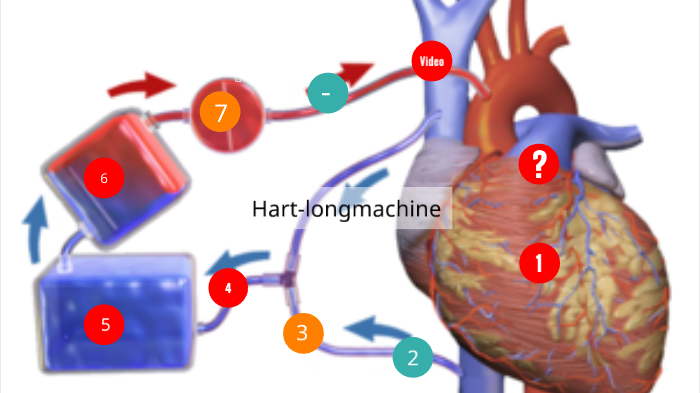 De hartlongmachine by Hessel Nederveen on Prezi