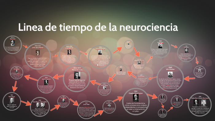 Linea De Tiempo Historia De La Neurociencia Youtube Images 6083