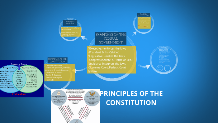 principles-of-the-constitution-by-cait-seabury