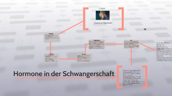Hormone In Der Schwangerschaft By Betul Ko On Prezi