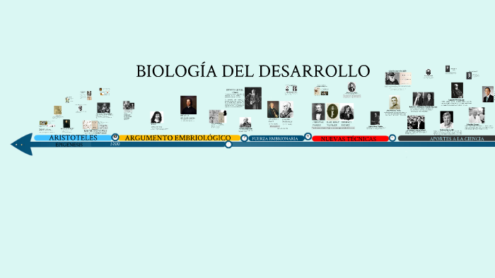 Biología del desarrollo linea de tiempo by Natalia Acosta on Prezi
