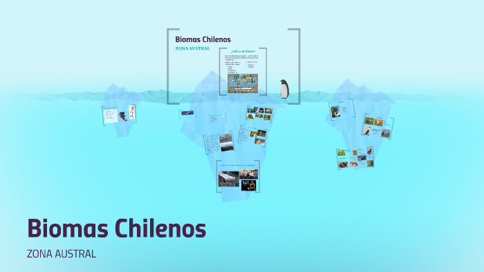 Biomas Chilenos by Elena Rojas on Prezi