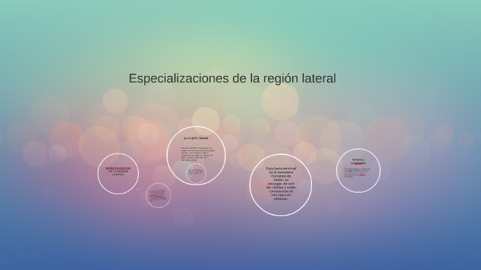 ESPECIALIZACION DE LA REGION LATERAL by Cristian Hernandez on Prezi