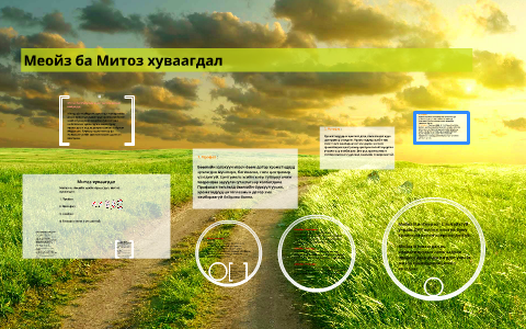 Меойз ба Митоз хуваагдал by Б. Сүндэрьяа on Prezi