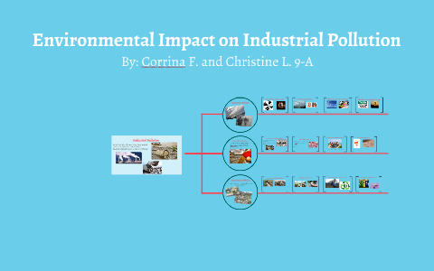 a case study on the effects of industrial pollution project