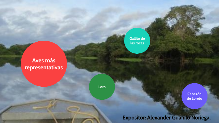 Aves de la selva Peruana by Alex Guanilo on Prezi