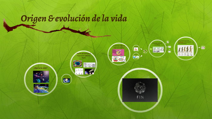 Origen & evolución de la vida by Alicia Flores Leon on Prezi