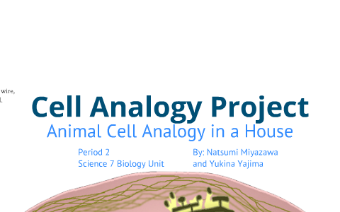 Animal Cell Analogy by N M