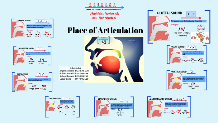 Place Of Articulation Consonants Chart