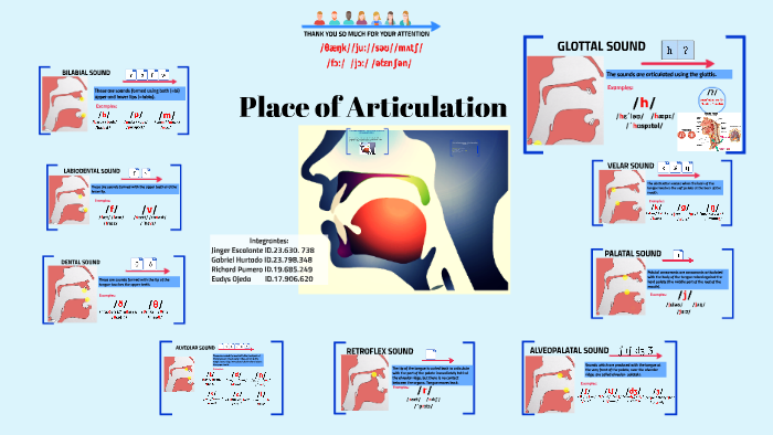 Place Of Articulation Diagram