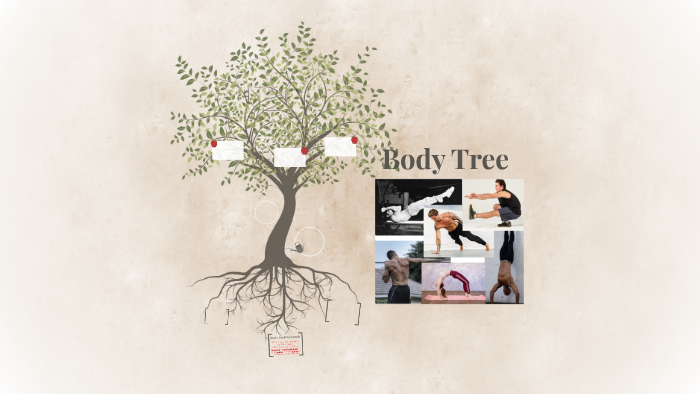 Body Tree by Jimmy Lai on Prezi