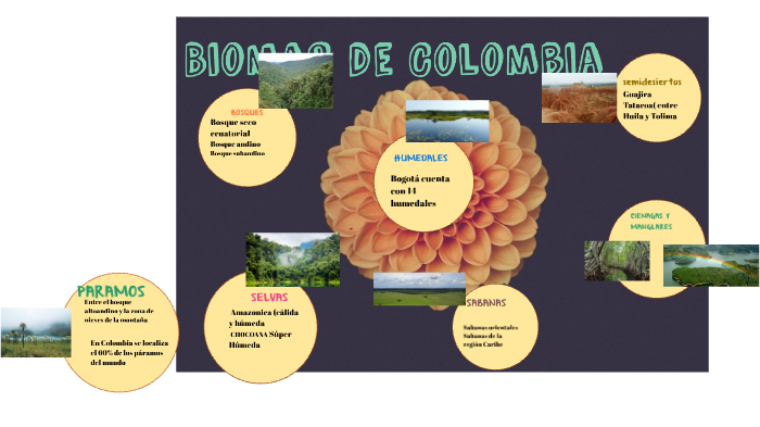 Biomas de Colombia by Juliana Ramírez on Prezi