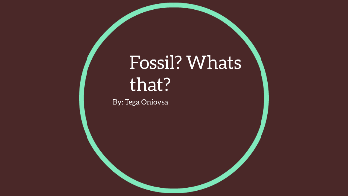 fossil whatsapp notification
