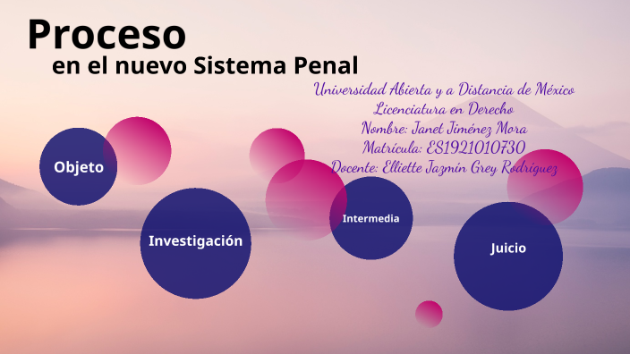 Proceso en el nuevo Sistema Penal by janet jimenez on Prezi