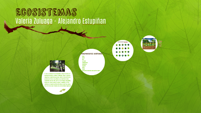 Ecosistemas by Valeria Zuluaga Cerón on Prezi