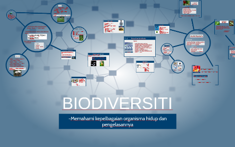 BIODIVERSITI by zarith sofea