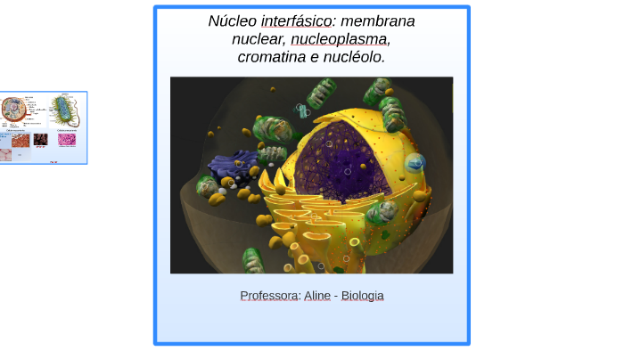 Núcleo interfásico: membrana nuclear, nucleoplasma, cromatin by Aline ...