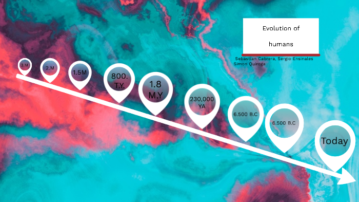 timeline evolution of humans by REXHEAVYY 007 on Prezi
