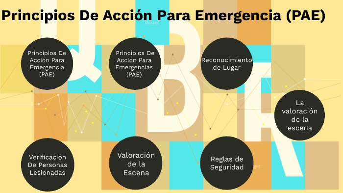 Cuales Son Los Principios De Accion De Emergencia
