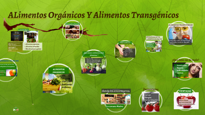ALimentos Orgánicos Y Alimentos Transgénicos by Anita Rodriguez Tapia