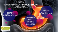 Sistem Penghadaman By Nurul Syazliana On Prezi Next